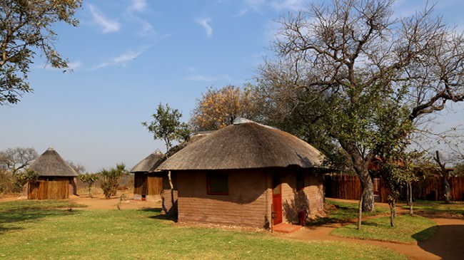 Top 5 Affordable Luxury Bush Camps in Kruger National Park - David's ...