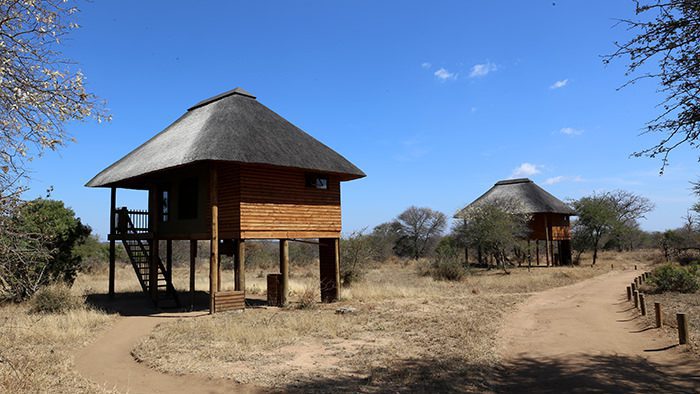 Nthambo_Tree_Camp_Klaserie_South_Africa_Davidsbeenhere5