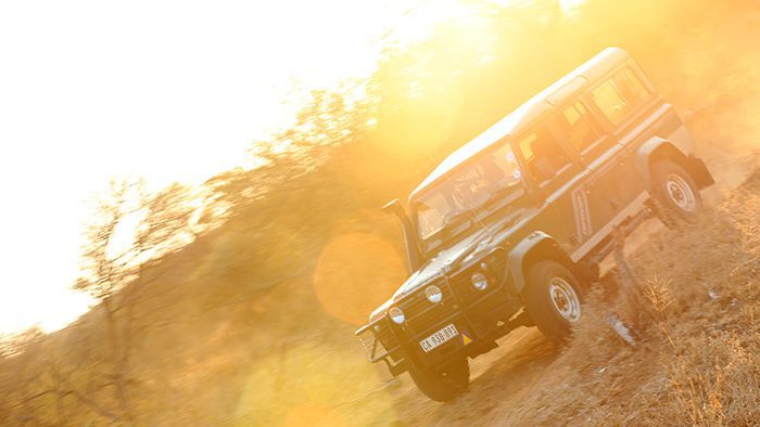 Safari_Land_Rover_Defender_Kruger_National_Park_South_Africa_Davidsbeenhere