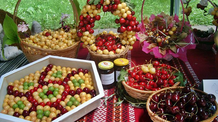 6. Cherry Festival in Kyustendil_Bulgaria_Europe_Davidsbeenhere
