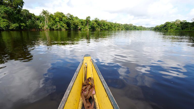 5 Reasons to Visit Isadou Island in Suriname - David's Been Here