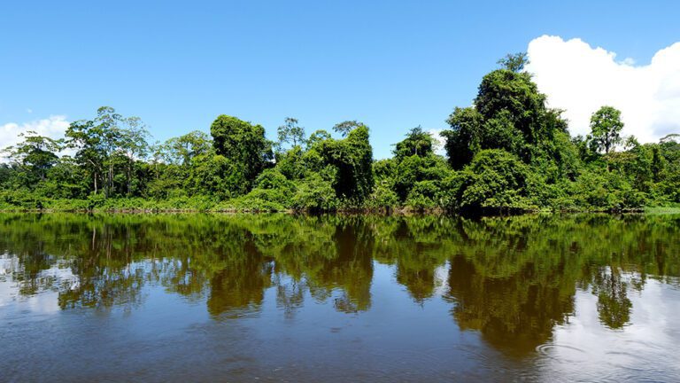 Top Things to Do in Palumeu, Suriname - David's Been Here