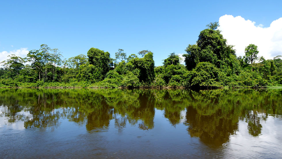 Top Things to Do in Palumeu, Suriname - David's Been Here