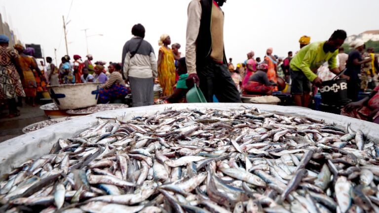 VIDEO: The Most Famous Fish Market in Ghana!! Eating Waakye + Elmina ...