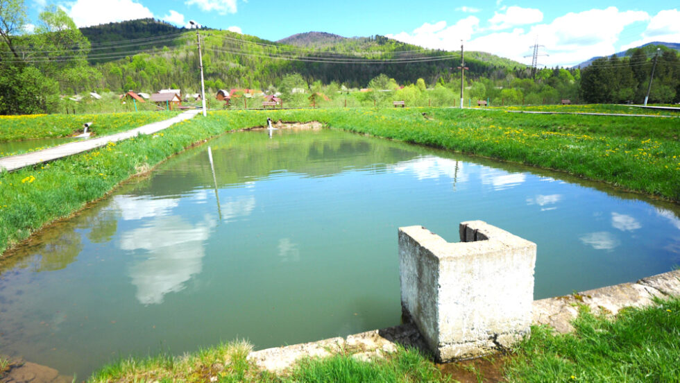 The fishing pond at Zolota Forel Restaurant