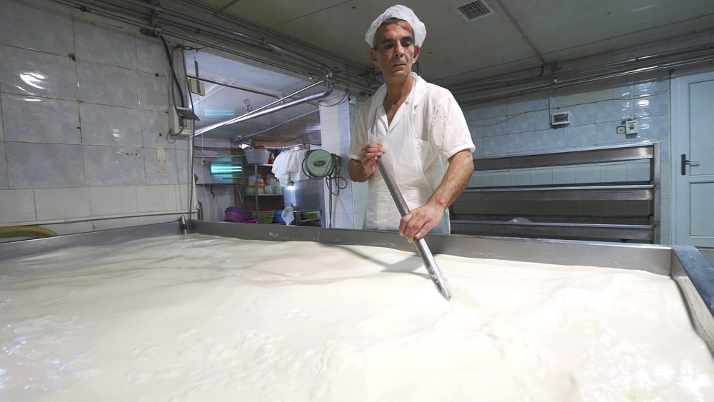 An employee making cheese at Tsivis Kveli 