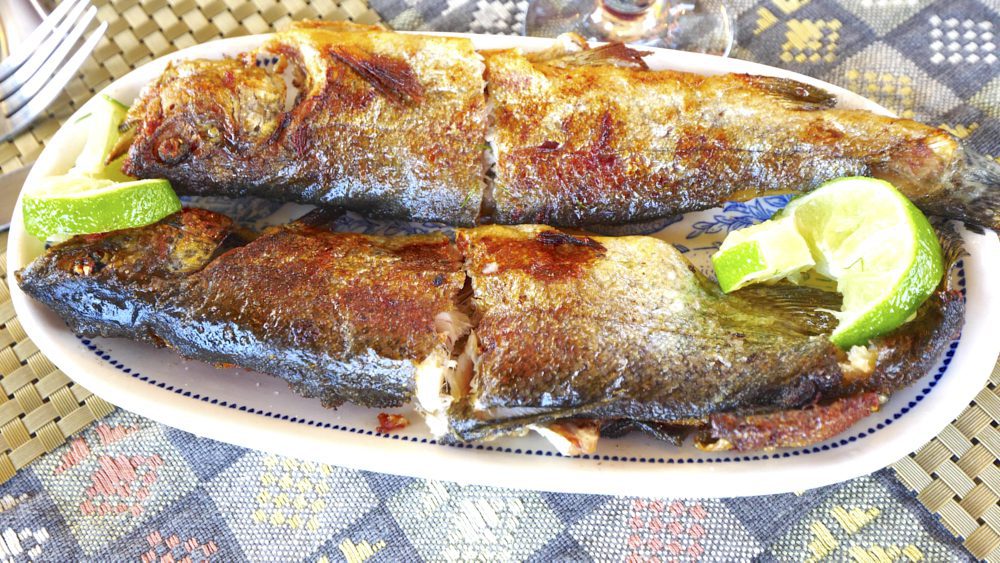A delicious trout dish at Qilimcha's Guesthouse