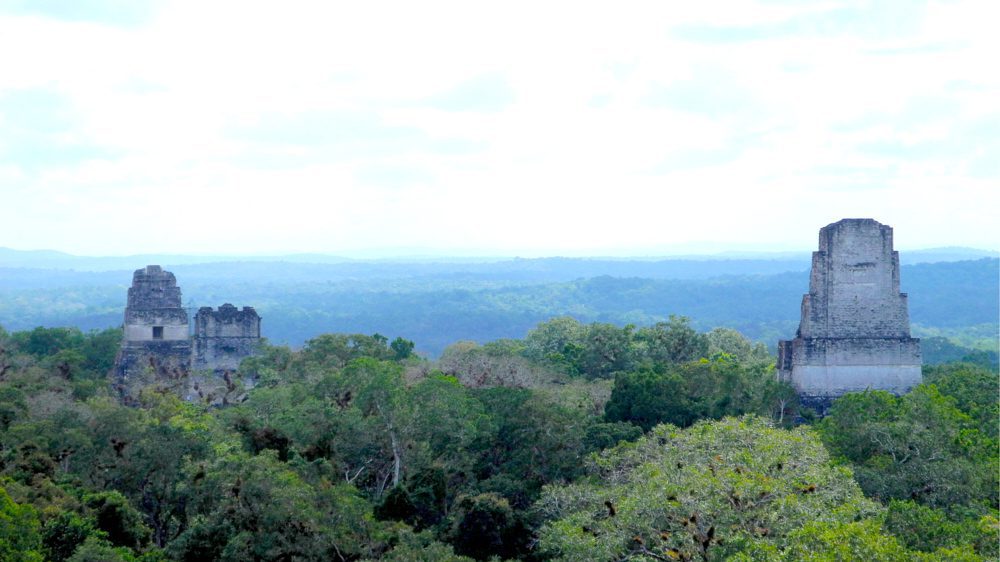 The temples of Tikal rising above the canopy in Guatemala