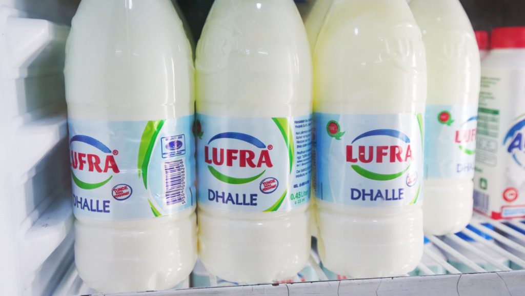 Dhalle, a yogurt-based drink in Albania | David's Been Here