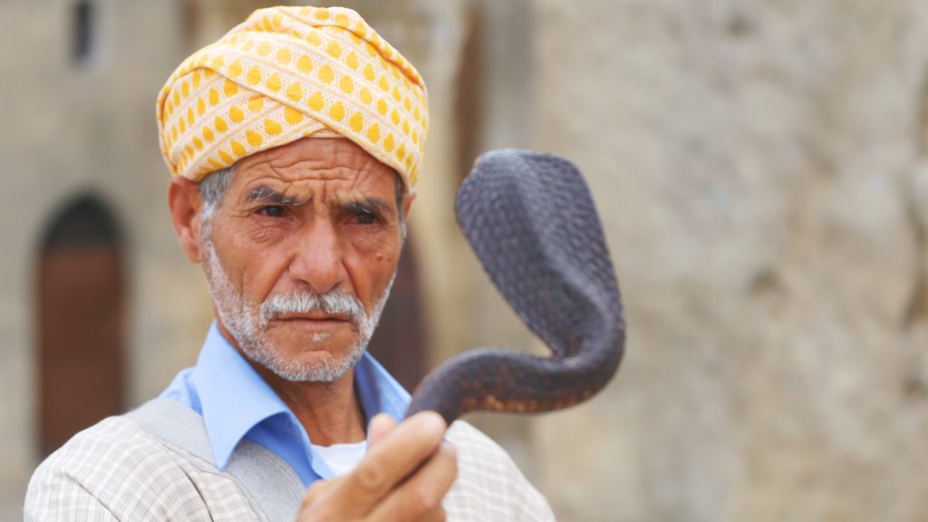 A man in Tangier tames a cobra | David's Been Here