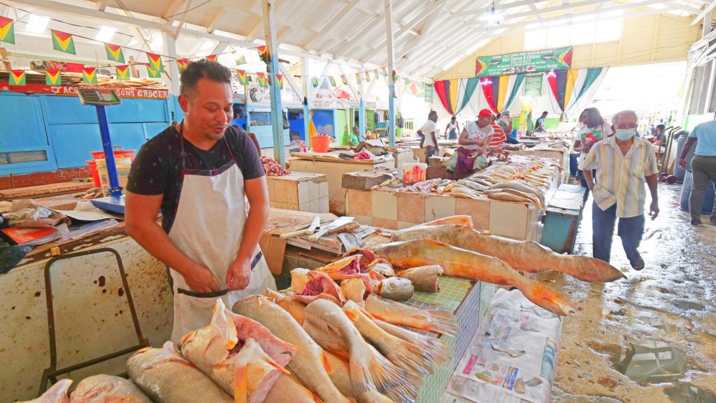 Bourda Market is a one-stop shop in Georgetown, Guyana for produce, meat, and household items | Davidsbeenhere