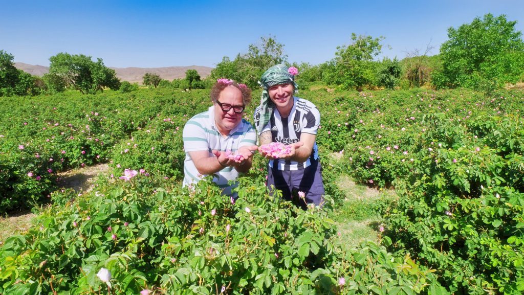 Me and Mr. Taster at a rose garden outside of Kashan, Iran | Davidsbeenhere