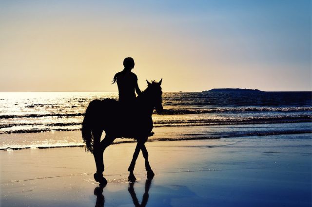 Horseback Riding in Hilton Head Island