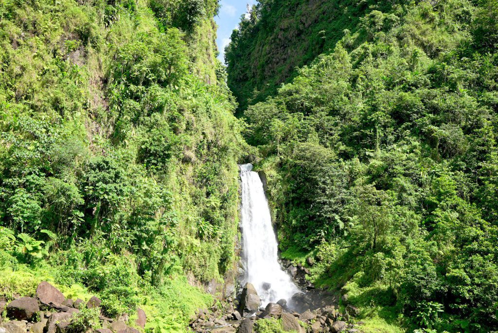 Trafalgar Falls deep within the jungles of Dominica | Davidsbeenhere