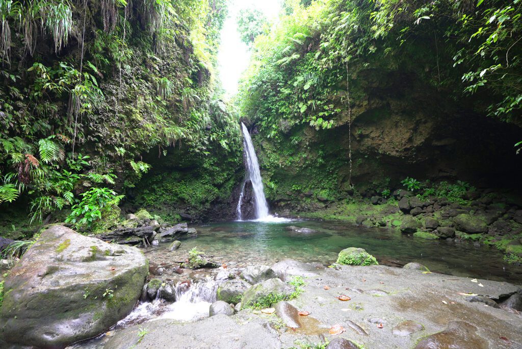 Jacko Falls is a gorgeous oasis in the jungles of the Kalinago Territory | Davidsbeenhere