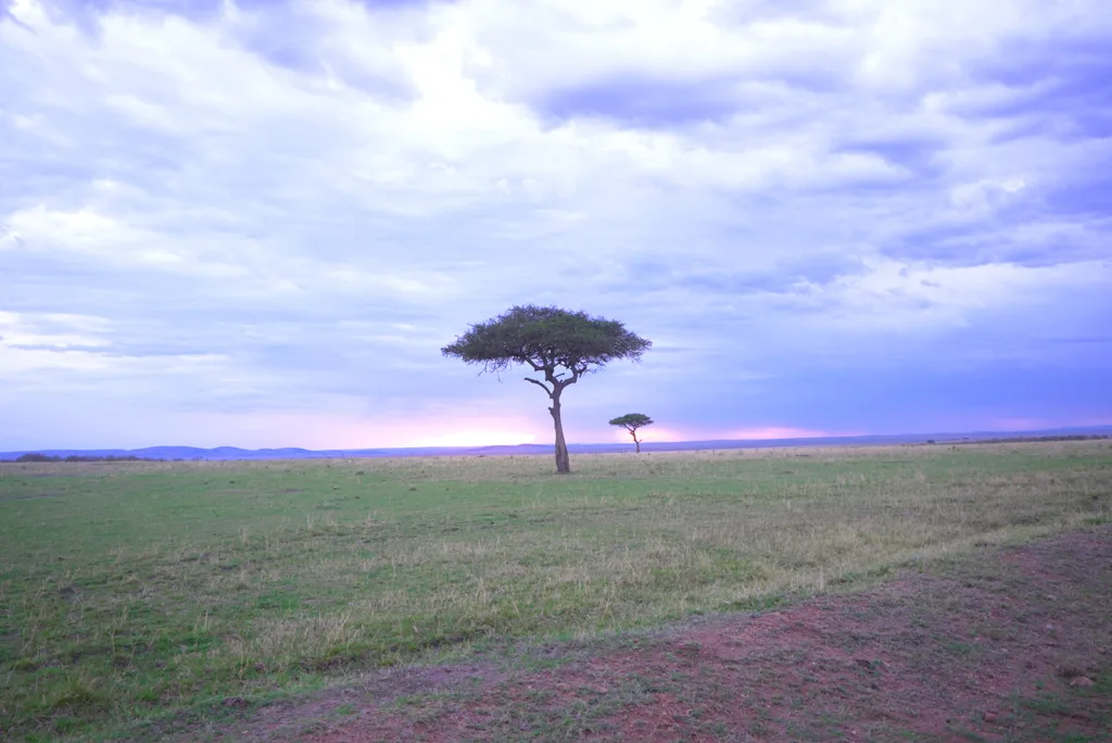 A spectacular sunset over the savannahs of Masai Mara, Kenya | Davidsbeenhere