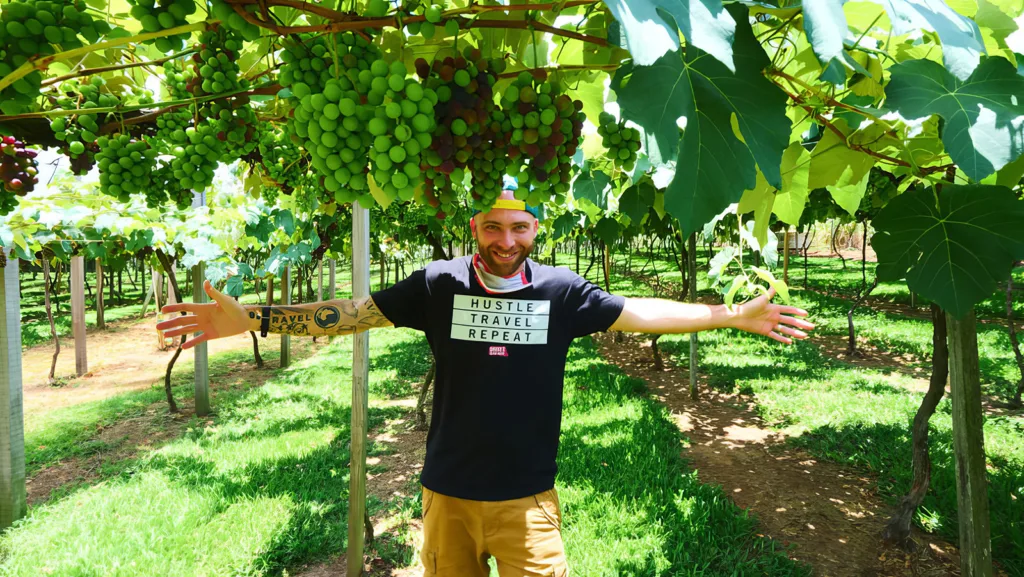 Exploring the vineyards of Vale dos Vinhedos in southern Brazil | Davidsbeenhere