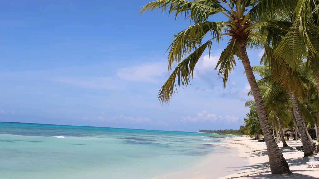 A pristine, palm-tree lined beach on Saona Island with crystal clear waters | Davidsbeenhere
