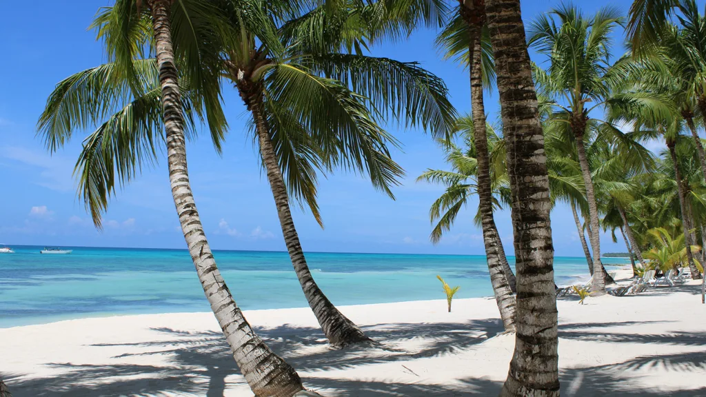 A tropical beach in Punta Cana, Dominican Republic | Davidsbeenhere