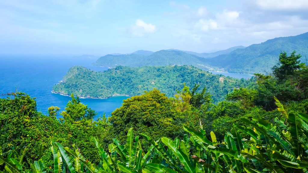 The view from a lookout point near Maracas Beach, Trinidad | Davidsbeenhere