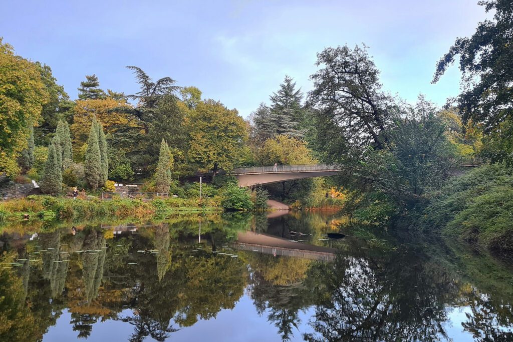 Dense foliage, a pond, and a bridge in Planten un Blomen in Hamburg | Davidsbeenhere