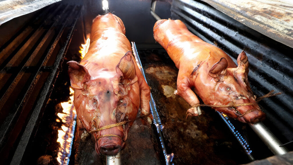 Whole pigs roasting over a fire in Guavate, Puerto Rico | Davidsbeenhere