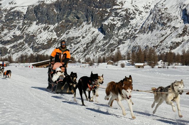 Dog Sledding in Finland