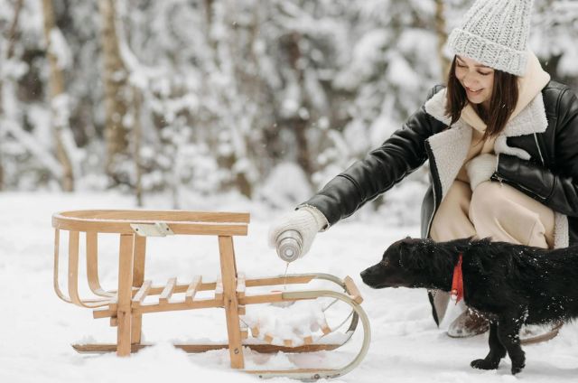 The Ethical Aspect of Dog Sledding