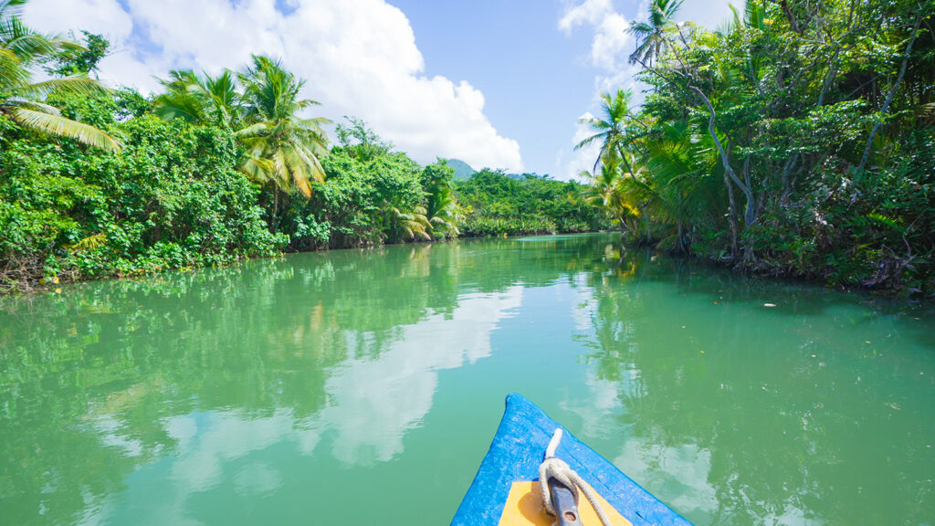 Riding down the Indian River, through a dense jungle, in Dominica | Davidsbeenhere