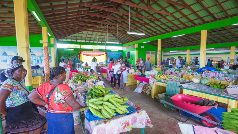 An authentic Caribbean market in Portsmouth, Dominica | Davidsbeenhere