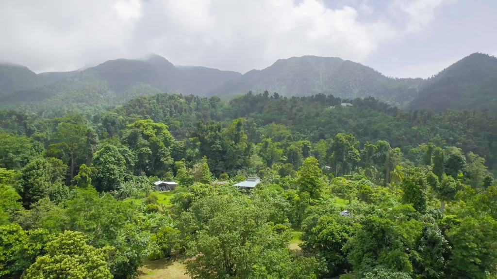 An aerial shot of Free-Up Farm, a seven-acre sustainable farm in the rainforests of Dominica | Davidsbeenhere 