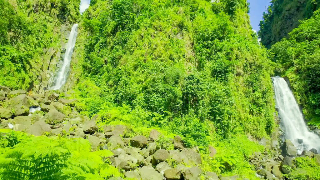 The twin waterfalls of Trafalgar Falls in the jungles of Dominica | Davidsbeenhere