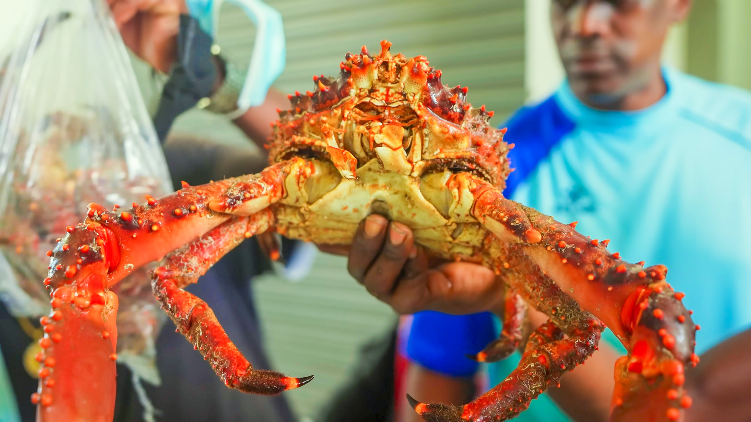 A vendor holds a large crab in a market in Roseau, Dominica | Davidsbeenhere
